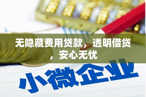 商丘无隐藏费用贷款，透明借贷，安心无忧