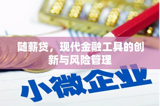 商丘随薪贷，现代金融工具的创新与风险管理