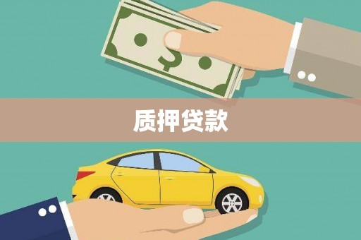商丘质押贷款