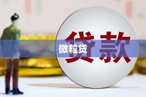 商丘微粒贷