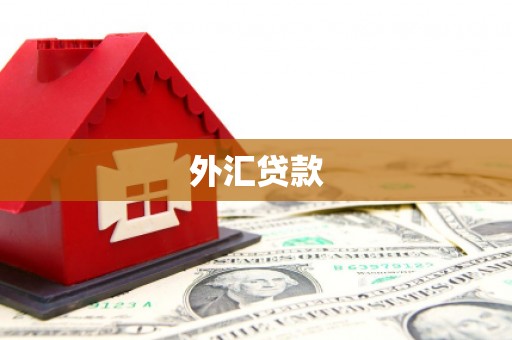商丘外汇贷款