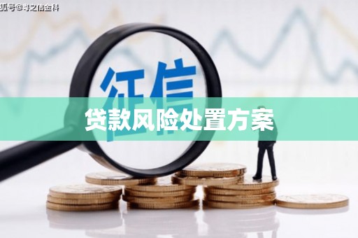 商丘贷款风险处置方案
