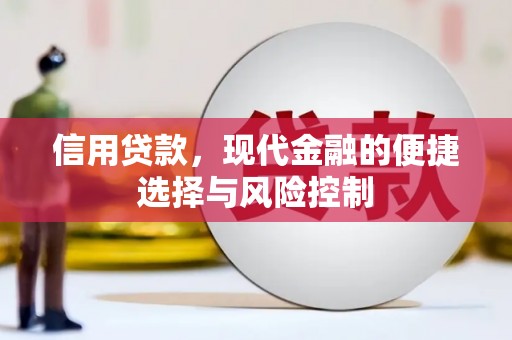 商丘信用贷款，现代金融的便捷选择与风险控制