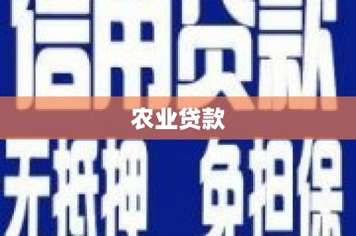 商丘农业贷款