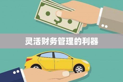商丘灵活财务管理的利器