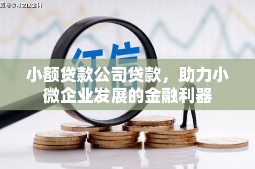 商丘小额贷款公司贷款，助力小微企业发展的金融利器