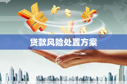 商丘贷款风险处置方案