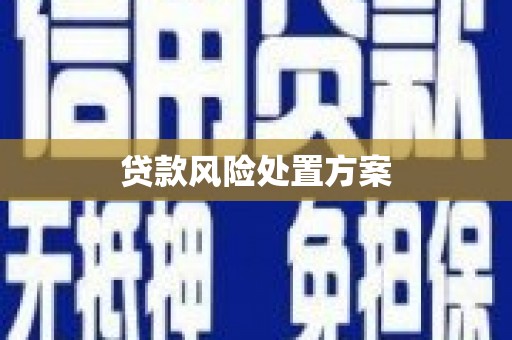 商丘贷款风险处置方案