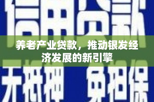 商丘养老产业贷款，推动银发经济发展的新引擎