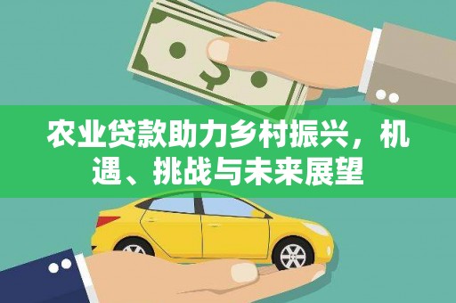 商丘农业贷款助力乡村振兴，机遇、挑战与未来展望