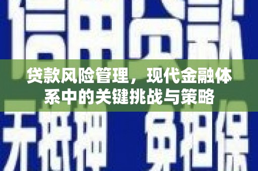 商丘贷款风险管理，现代金融体系中的关键挑战与策略