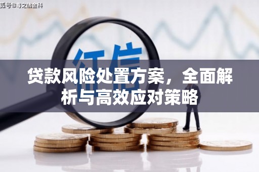 商丘贷款风险处置方案，全面解析与高效应对策略