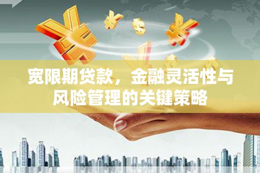 商丘宽限期贷款，金融灵活性与风险管理的关键策略