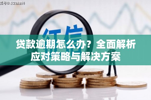 商丘贷款逾期怎么办？全面解析应对策略与解决方案