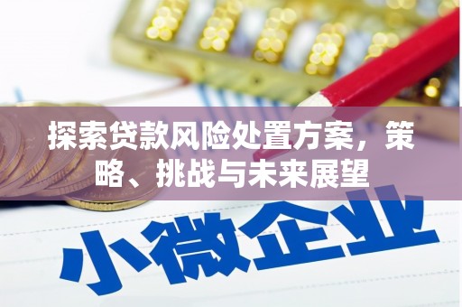 商丘探索贷款风险处置方案，策略、挑战与未来展望
