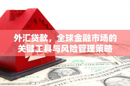商丘外汇贷款，全球金融市场的关键工具与风险管理策略