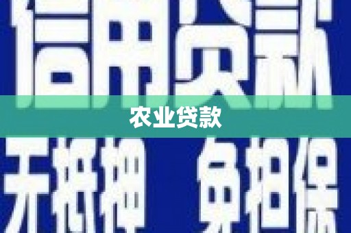 商丘农业贷款