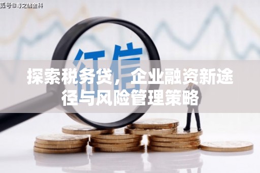 商丘探索税务贷，企业融资新途径与风险管理策略