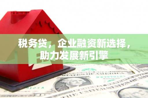 商丘税务贷，企业融资新选择，助力发展新引擎