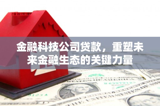 商丘金融科技公司贷款，重塑未来金融生态的关键力量
