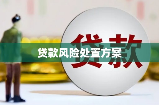 商丘贷款风险处置方案