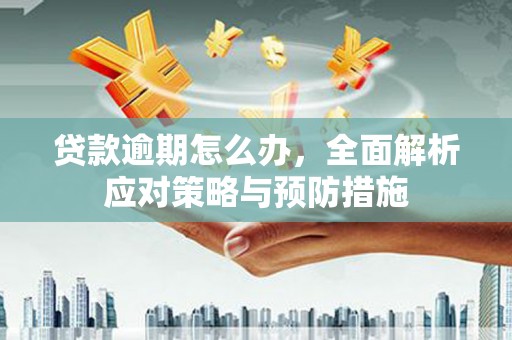 商丘贷款逾期怎么办，全面解析应对策略与预防措施