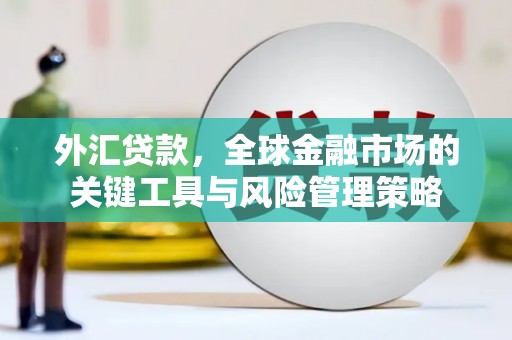 商丘外汇贷款，全球金融市场的关键工具与风险管理策略