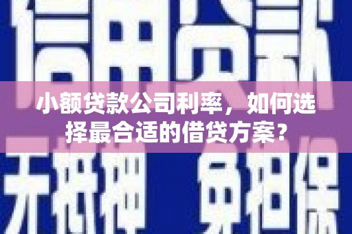 商丘小额贷款公司利率，如何选择最合适的借贷方案？