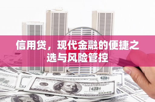商丘信用贷，现代金融的便捷之选与风险管控