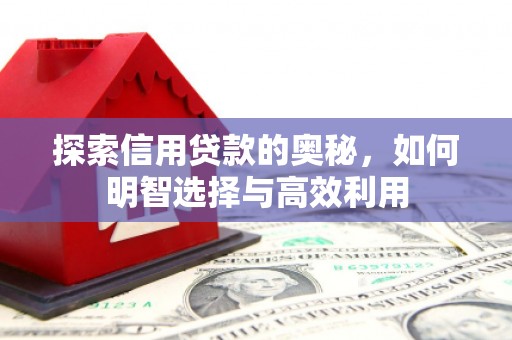 商丘探索信用贷款的奥秘，如何明智选择与高效利用