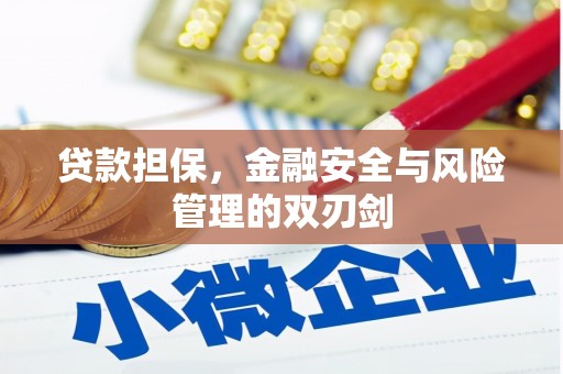 商丘贷款担保，金融安全与风险管理的双刃剑