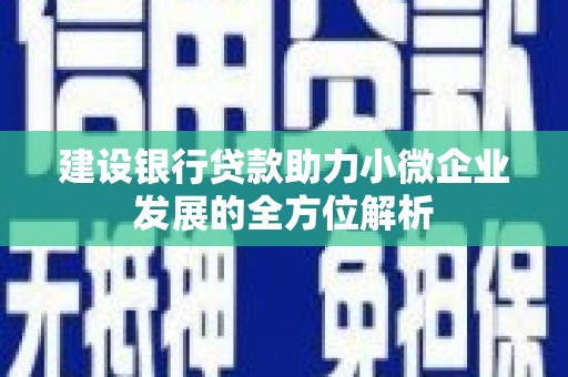 商丘建设银行贷款助力小微企业发展的全方位解析