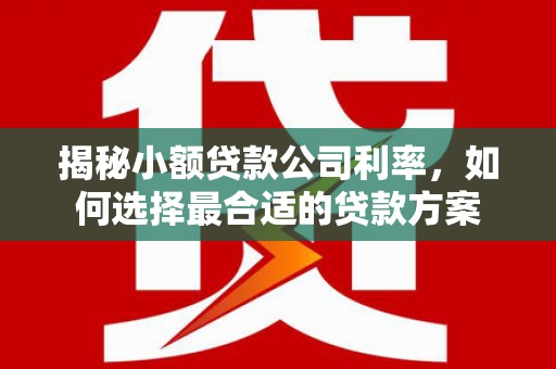 商丘揭秘小额贷款公司利率，如何选择最合适的贷款方案