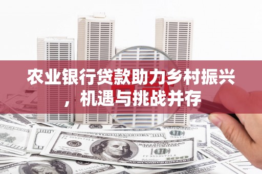 商丘农业银行贷款助力乡村振兴，机遇与挑战并存