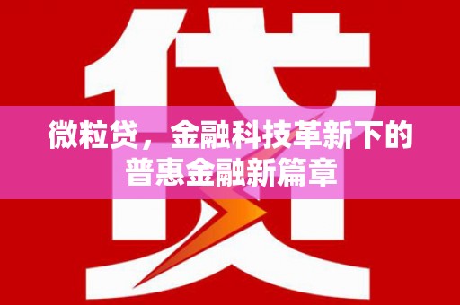 商丘微粒贷，金融科技革新下的普惠金融新篇章