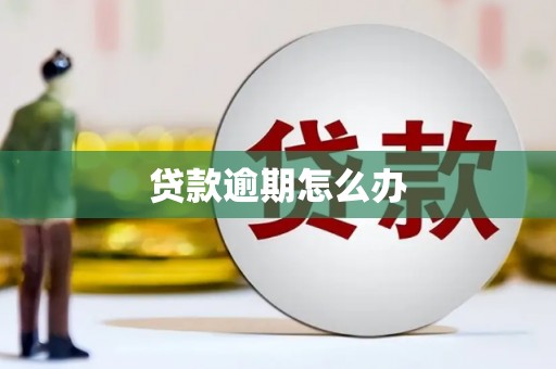 商丘贷款逾期怎么办