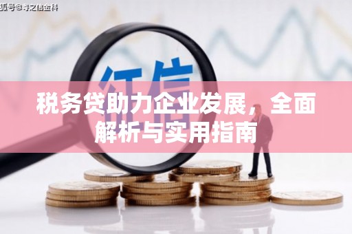商丘税务贷助力企业发展，全面解析与实用指南