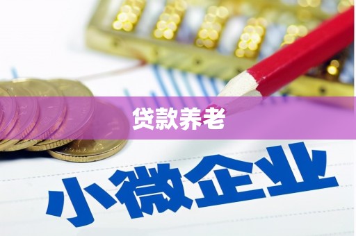 商丘贷款养老