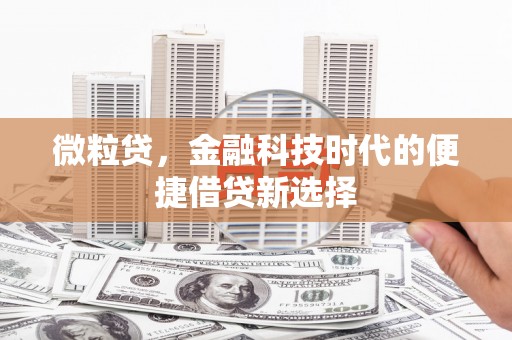 商丘微粒贷，金融科技时代的便捷借贷新选择