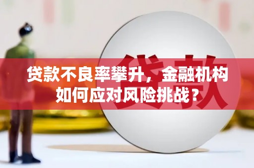 商丘贷款不良率攀升，金融机构如何应对风险挑战？