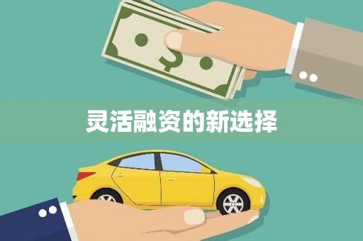 商丘灵活融资的新选择