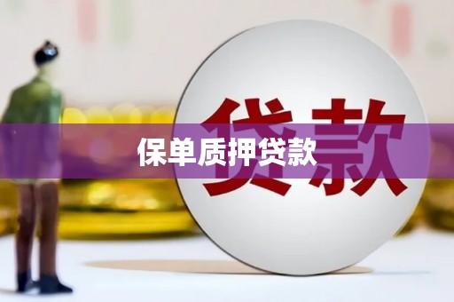 商丘保单质押贷款
