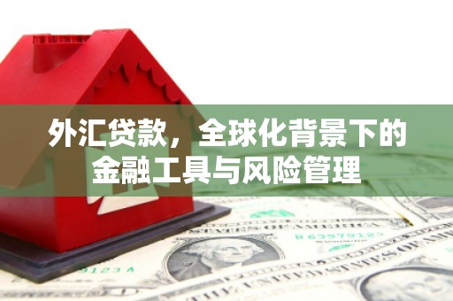 商丘外汇贷款，全球化背景下的金融工具与风险管理